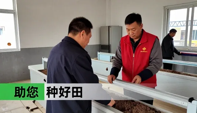 技术服务帮助技术实现效率提升