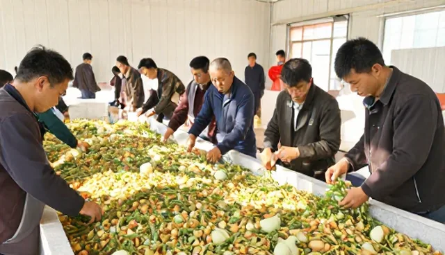 农产品加工选型时，如何选择适合的种植技术指导？